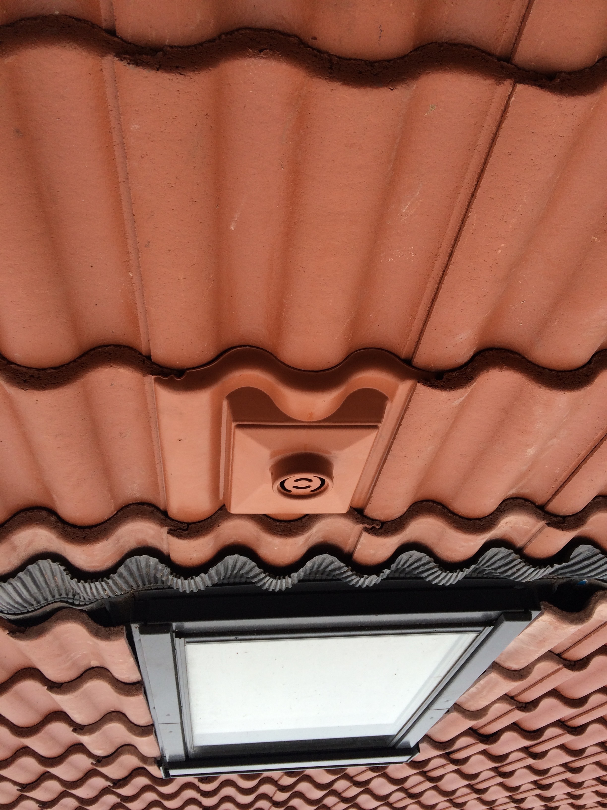 Takreparation — inspektion vid takläckage